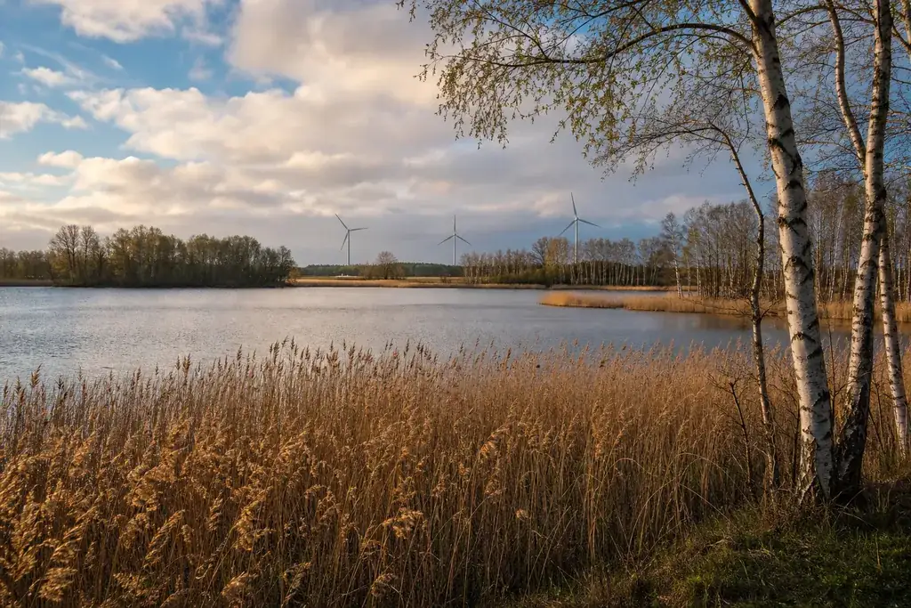 Typische Landschaft von Brandenburg, Symbolbild für Strompreise und Grundversorgung im Bundesland.