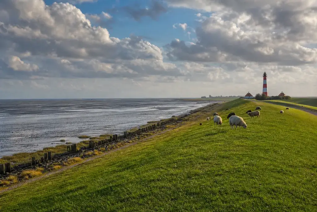 Typische Landschaft von Schleswig-Holstein, Symbolbild für Strompreise und Grundversorgung im Bundesland.