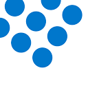 Schleswig-Holstein Netz GmbH Logo