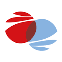 Stadtwerke Arnstadt Netz GmbH ＆ Co. KG Logo