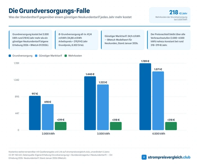 Die Grundversorgungs-Falle